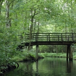 Spreewald mit Brücke